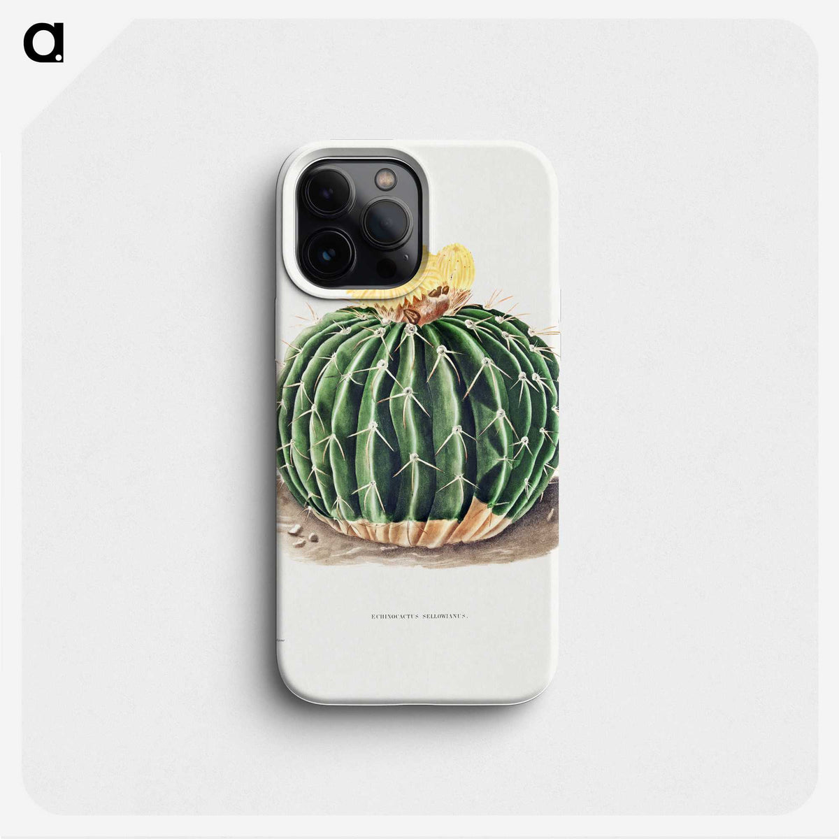 1-6_Charles-Antoine-Lemaire_phone