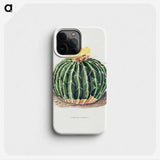 1-6_Charles-Antoine-Lemaire_phone