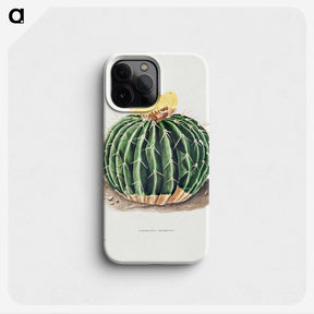 1-6_Charles-Antoine-Lemaire_phone