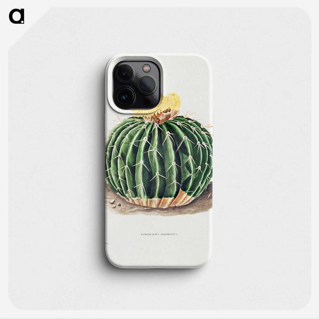 1-6_Charles-Antoine-Lemaire_phone