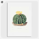 1-6_Charles-Antoine-Lemaire_picture