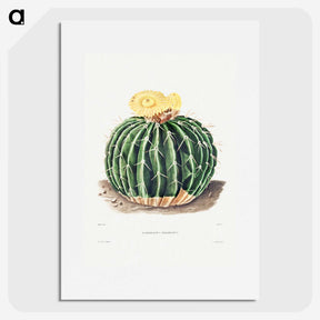 1-6_Charles-Antoine-Lemaire_picture