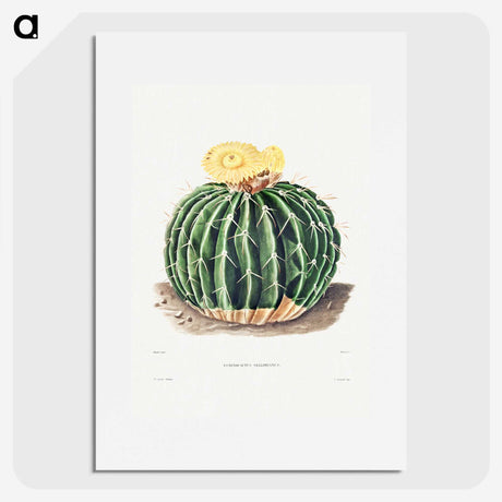1-6_Charles-Antoine-Lemaire_picture