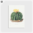 1-6_Charles-Antoine-Lemaire_postcard
