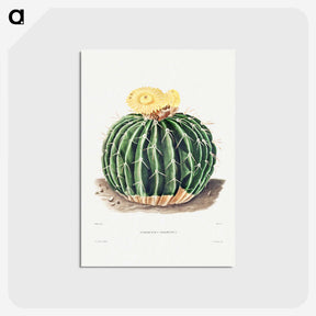 1-6_Charles-Antoine-Lemaire_postcard