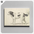 1-6_Charles-Hamilton-Smith_canvas