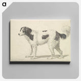 1-6_Charles-Hamilton-Smith_canvas
