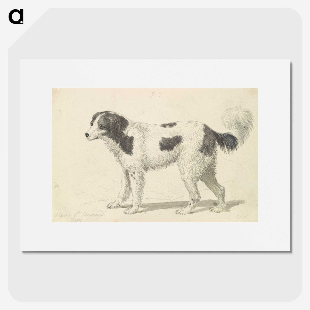 1-6_Charles-Hamilton-Smith_picture