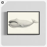 1-6_Charles-Melville-Scammon_blk-crop