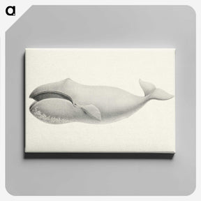 1-6_Charles-Melville-Scammon_canvas