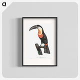 1-6_Des-Oiseaux-de-Paradis_blk