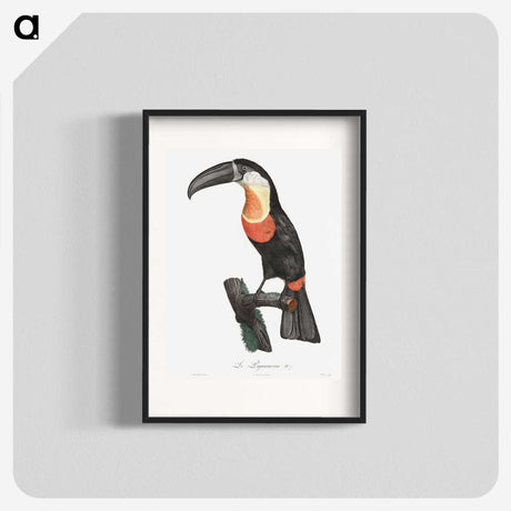 1-6_Des-Oiseaux-de-Paradis_blk