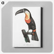 1-6_Des-Oiseaux-de-Paradis_canvas