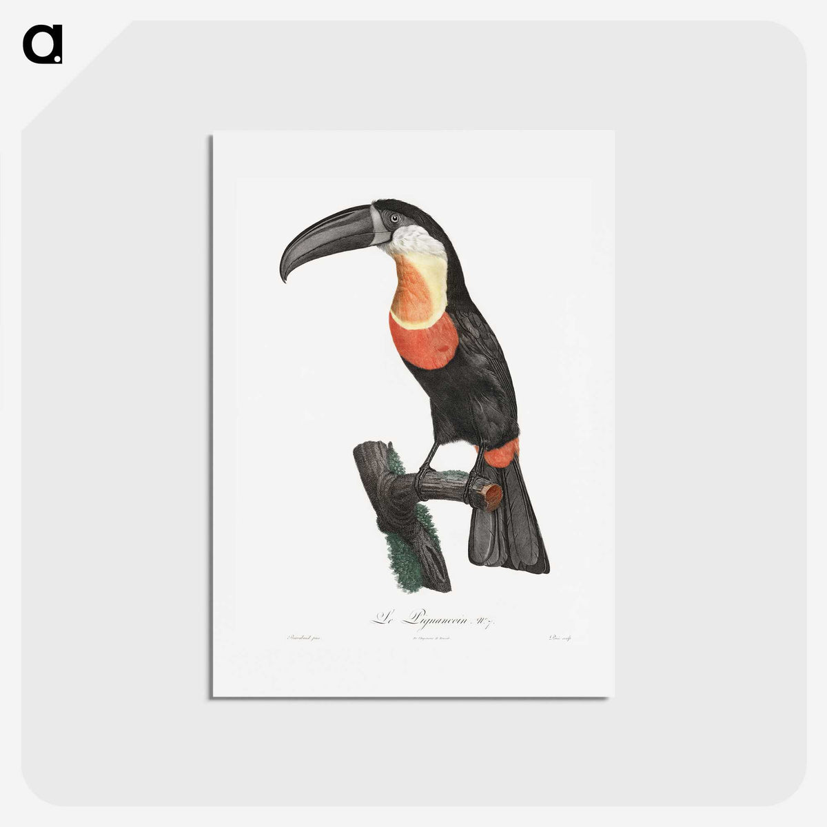 1-6_Des-Oiseaux-de-Paradis_hagaki
