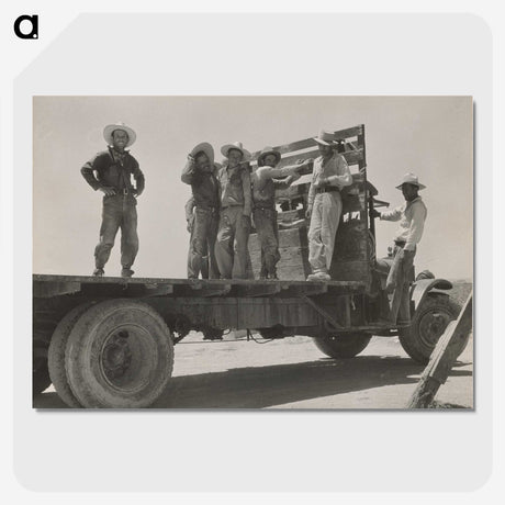 1-6_Dorothea-Lange_picture-crop