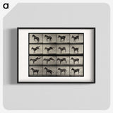 1-6_Eadweard-Muybridge_blk