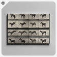 1-6_Eadweard-Muybridge_canvas