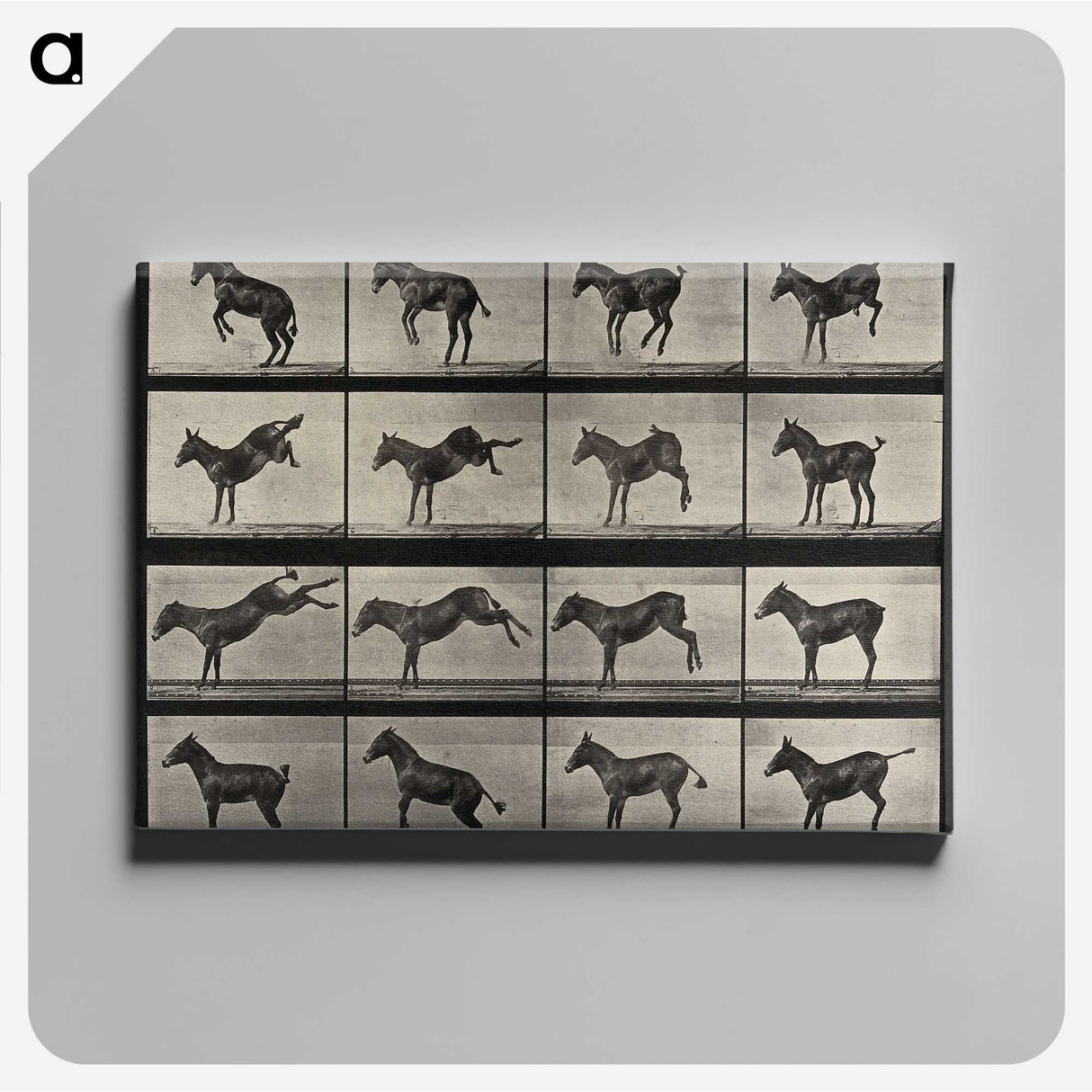 1-6_Eadweard-Muybridge_canvas