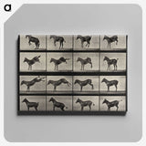 1-6_Eadweard-Muybridge_canvas