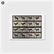 アートポストカード-Rearing Horse
 - エドワード マイブリッジ Postcard.