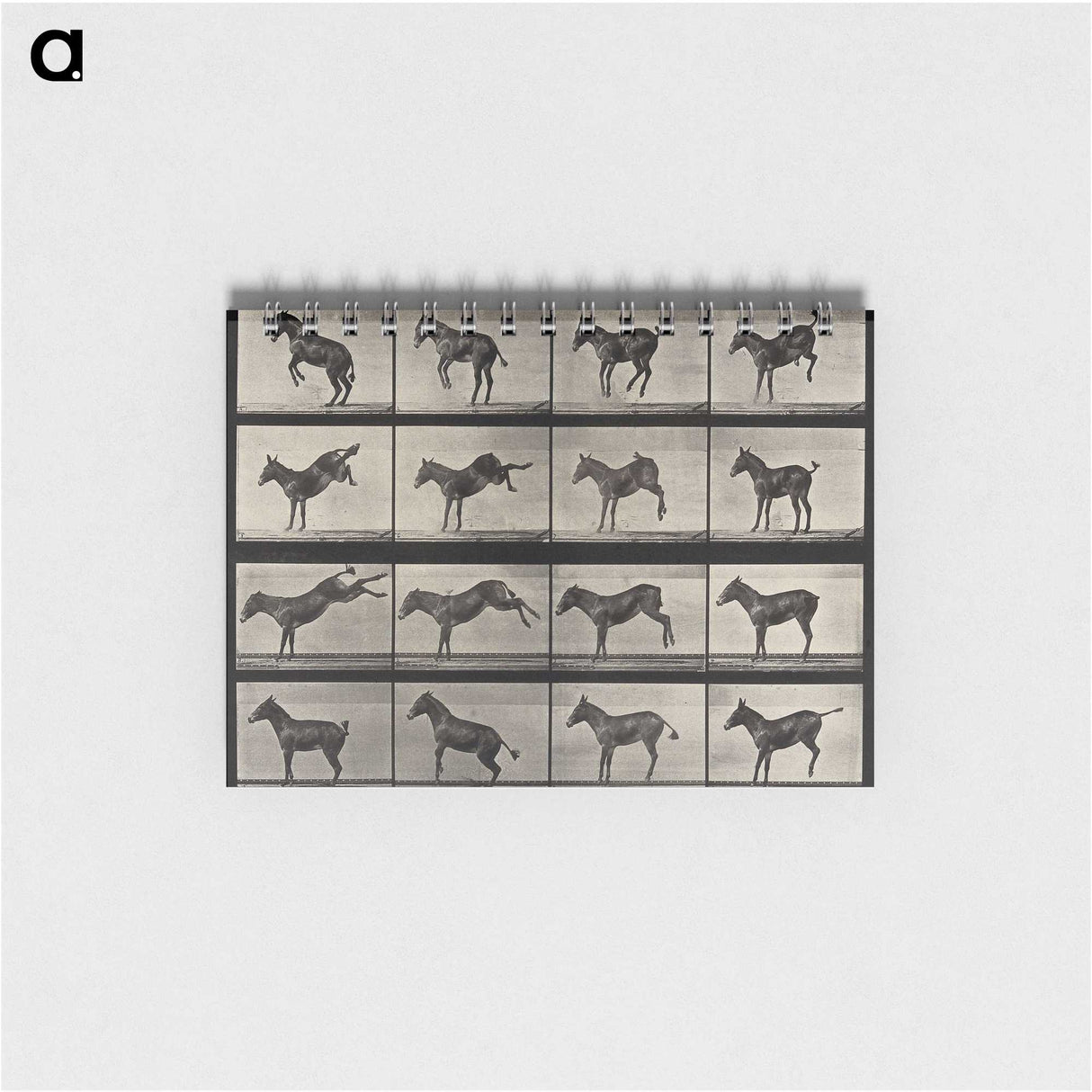 1-6_Eadweard-Muybridge_memo