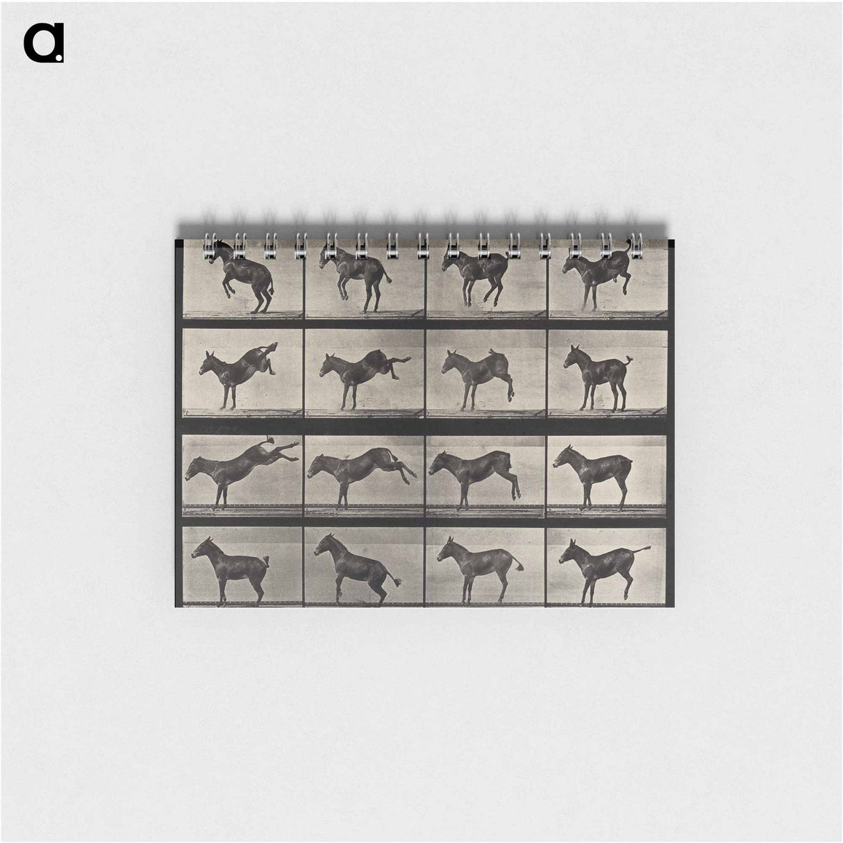 アートメモ帳-Rearing Horse
 - エドワード マイブリッジ Memo.