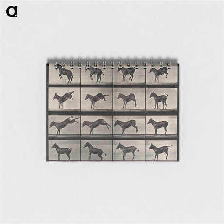 アートメモ帳-Rearing Horse
 - エドワード マイブリッジ Memo.
