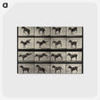 1-6_Eadweard-Muybridge_postcard