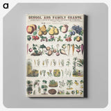 1-6_Education-Charts_canvas
