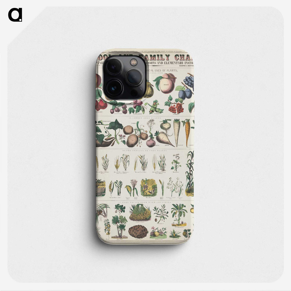 1-6_Education-Charts_phone