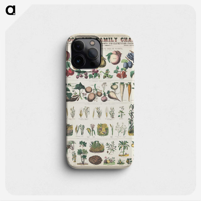 1-6_Education-Charts_phone