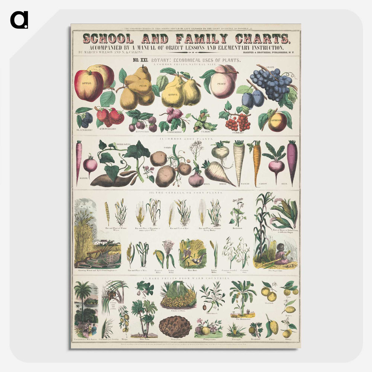 1-6_Education-Charts_picture-crop