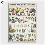 1-6_Education-Charts_picture-crop