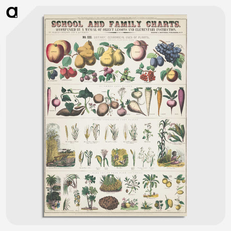 1-6_Education-Charts_picture-crop