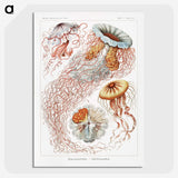 1-6_Ernst-Haeckel_picture-crop