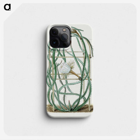 1-6_Familie-der-Cacteen_phone