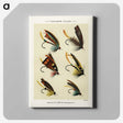 1-6_Favorite-Flies-and-Their-History_canvas