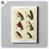 1-6_Favorite-Flies-and-Their-History_canvas