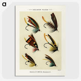 1-6_Favorite-Flies-and-Their-History_picture-crop