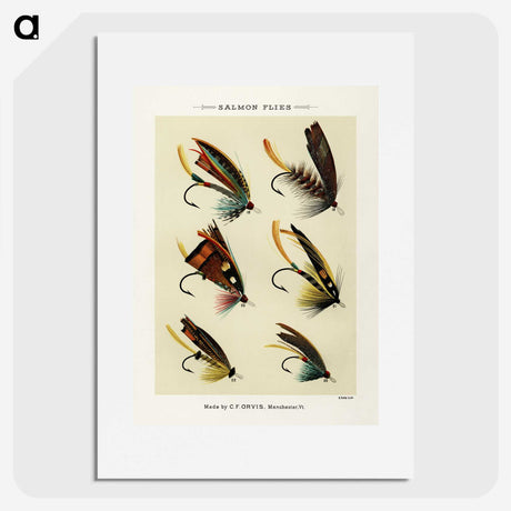 1-6_Favorite-Flies-and-Their-History_picture