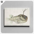 1-6_Frank-Edward-Clarke_canvas