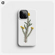 1-6_Fransis-Sansom_phone