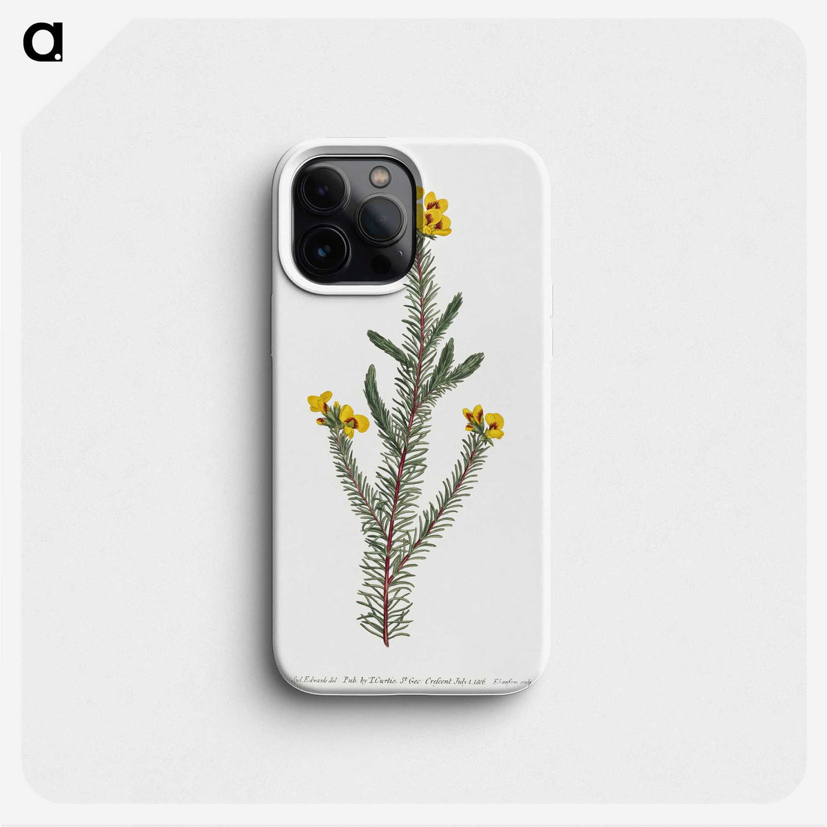 1-6_Fransis-Sansom_phone