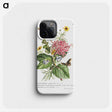 1-6_Georg-Dionysius-Ehret_phone