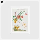 Floral Design with Dog and Insects
 - ジャコモ カヴェネチア Postcard.