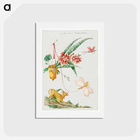 アートポストカード-Floral Design with Dog and Insects
 - ジャコモ カヴェネチア Postcard.