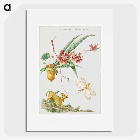 1-6_Giacomo-Cavenezia_picture