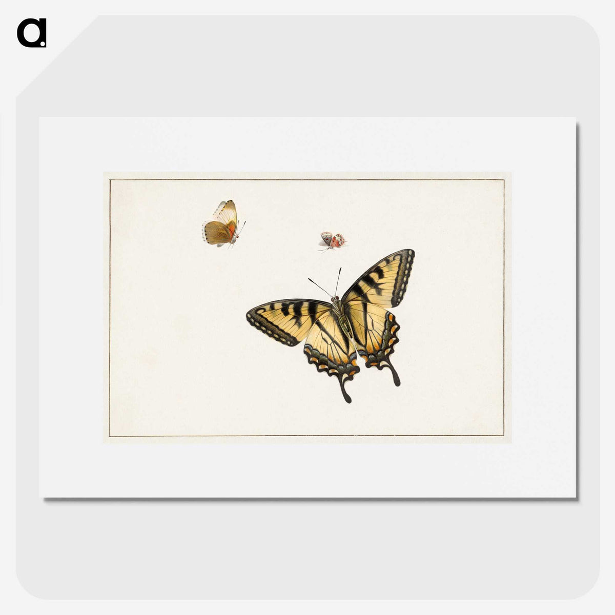 1-6_Herman-Henstenburgh_picture
