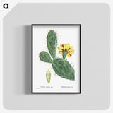 1-6_Histoire-des-Plantes-Grasses_blk-crop