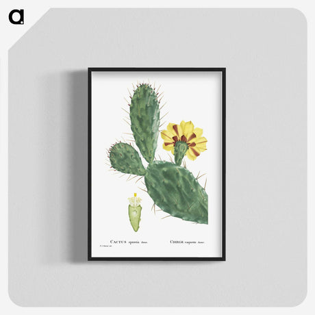 1-6_Histoire-des-Plantes-Grasses_blk-crop
